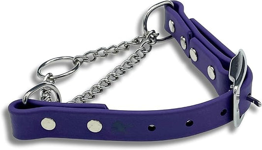 Martingale Collar for Dogs, Biothane, Stainless Steel Hardware, No Pull, Made in The USA, Professional Grade, XS, Purple