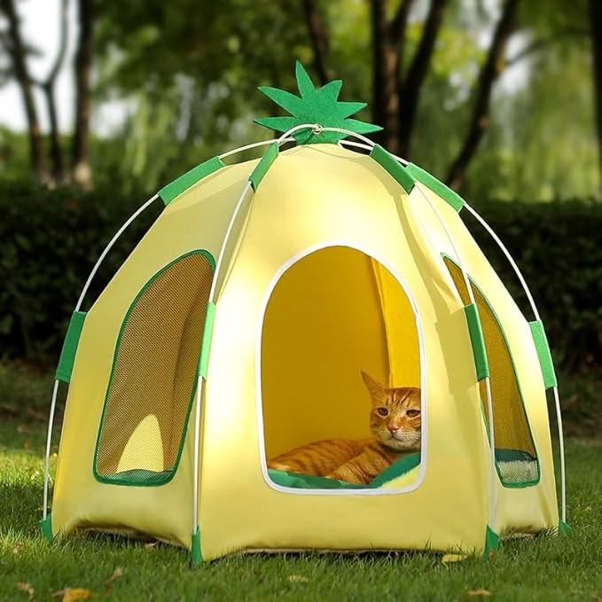 Cute Cat Teepee Cave, Cat Tent Foldable Indoor Outdoor with Thick Mat,Puppy Bed Tent,Bunny Pet Tent Teepee,Portable Dog House Teepee Tent, Cat Bed,Dog Bed Tent,Puppy Bunny,Pet Tent Teepee (V, XL)