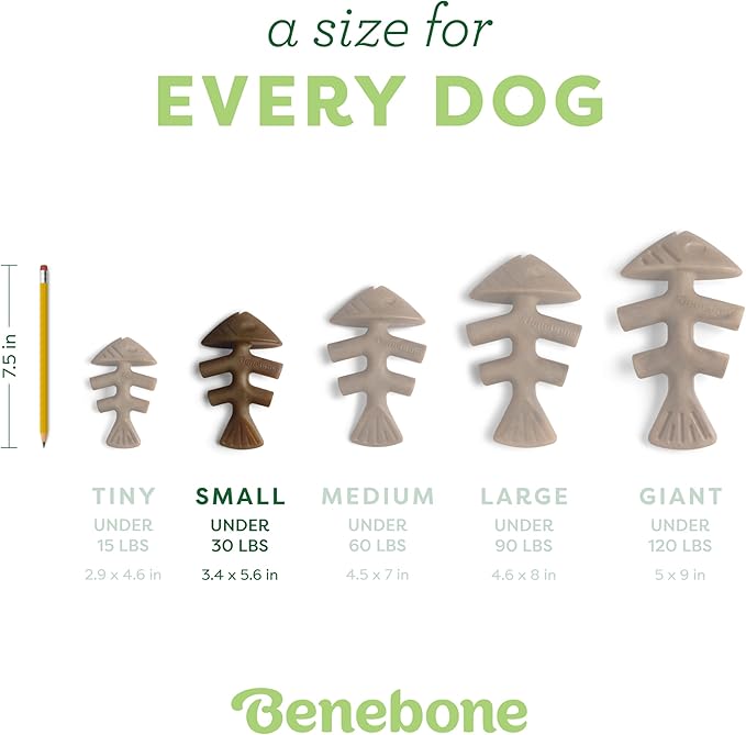 Benebone Fishbone Durable Dog Chew Toy for Aggressive Chewers, Real Fish, Made in USA, Small