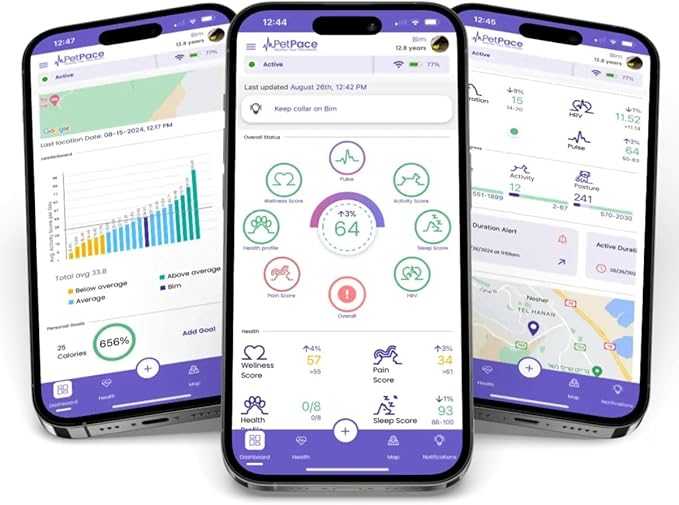 AI Health Monitor & GPS Tracker for Dogs | Track Heart Rate, Pain, Anxiety & Stress | Vet Backed, Near Real-Time Alerts & Monitoring | Subscription Required | PetPace Smart Collar 2.0 (Large)
