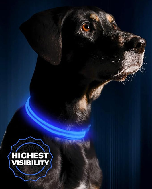 Illumiseen LED Dog Collar USB Rechargeable - Bright & High Visibility Lighted Glow Collar for Pet Night Walking - Weatherproof, in 6 Colors & 6 Sizes (Blue Large)