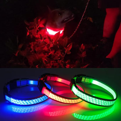 BiPawTi LED Dog Collar Rechargeable, Light Up Dog Collar 3 Light Modes Pet Safety Collar, Super Bright Glow in The Dark Dog Collar for Night Walking, Lighted Dog Collar for Large Dogs （Pink, L）