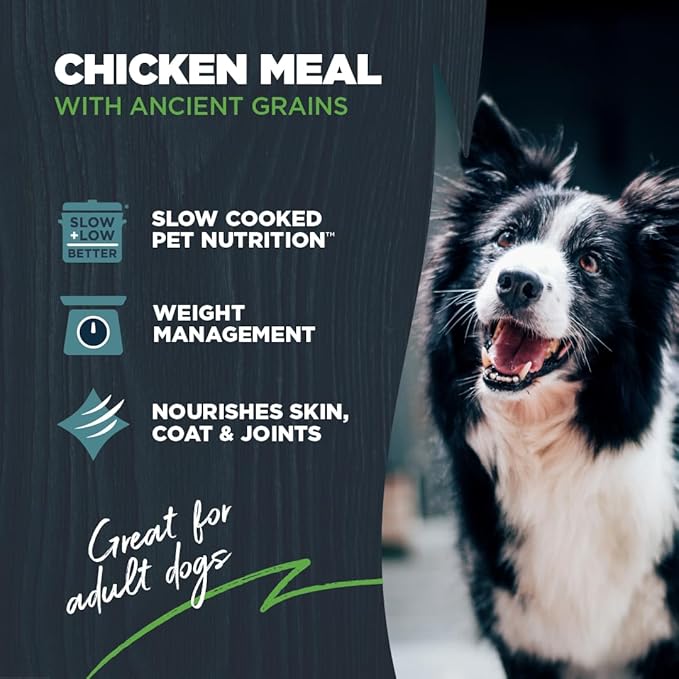 Blackwood Lean/Senior Dry Dog Food, Chicken Meal with Ancient Grains, 24 Pound Bag for Weight Management and Muscle Mass Maintenance