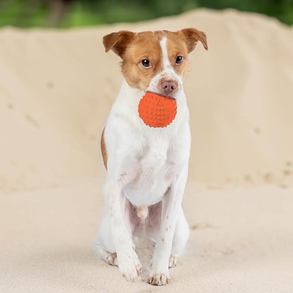 Best Pet Supplies Squeaky Rubber Spiky Ball Dog Toy Durable Non-Toxic Perfect for Aggressive Chewers Spiked for Dental Health Interactive Dog Toy - Pack of 4 - Assorted Colors (M:2.5")