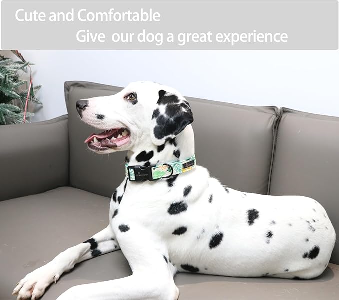 ARING PET Summer Dog Collar-Cute Dog Collar for Small Dogs, Adjustable Comfortable Cotton Dog Collars for Small Medium Large Dogs, X-Small