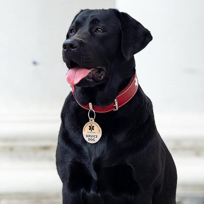 MYLUCKYTAG Service Dog Tag, QR Code Stainless Steel Pet ID Tag Dog Tag, Online Pet Profile, Pet Location Alert Email, Digital Pet Tag, Durable Pet ID, Dog Collar Tag, Engraved Pet Tag