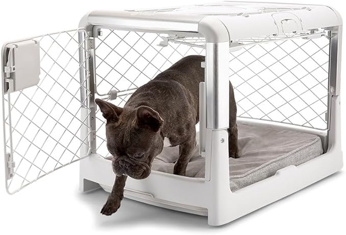 DIGGS Revol Collapsible Dog Crate with Wheels - Premium Portable Dog Crate - Safe, Stylish, and Convenient Indoor Kennel (Ash, Small)