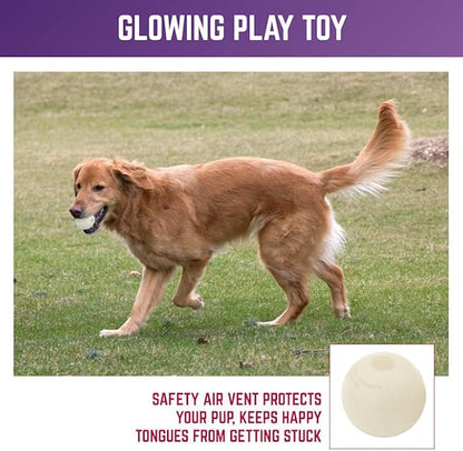 Chew King Glowing Fetch Ball, Dog Ball Toys, Ball Combo