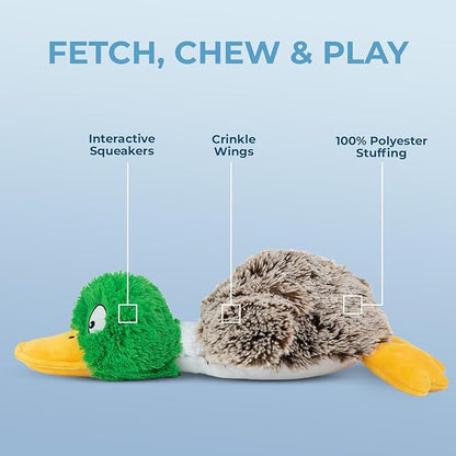 Best Pet Supplies Interactive Mallard Mates Dog Toy with Crinkle and Squeaky Enrichment for Small and Medium Breed Puppies or Dogs, Cute and Plush - Mallard Duck (Gray), Small