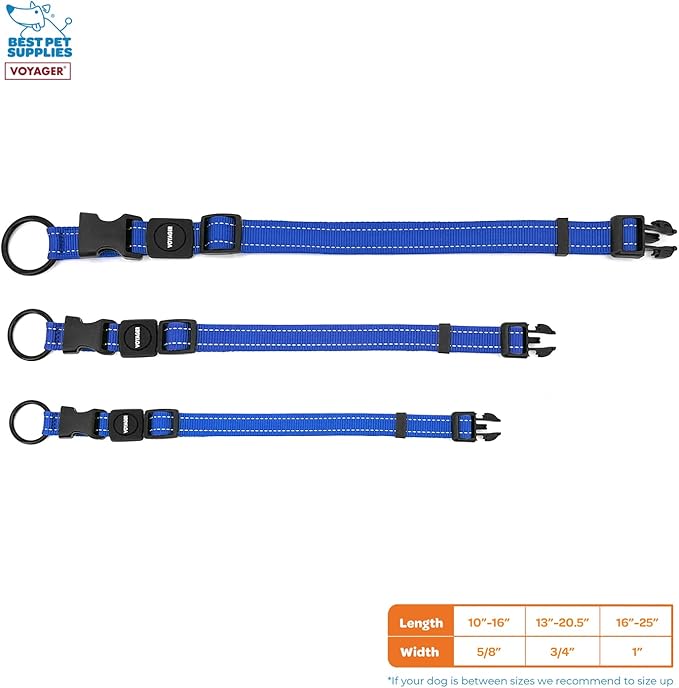 Best Pet Supplies Reflective Dog Collar with Adjustable Length, Heavy-Duty Buckle, and Strong Leash D-Ring, Training, Walking, Jogging Accessory for Small, Medium, and Large Breeds - Royal Blue, L