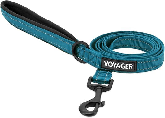 Voyager Reflective Dog Leash with Neoprene Handle, 6ft Long, Supports Small, Medium, and Large Breed Puppies, Cute and Heavy Duty for Walking, Running, and Training - Turquoise, L