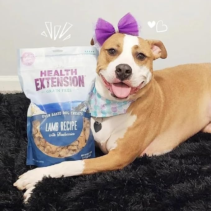 Health Extension Oven-Baked Dog Treats, 6oz (170g), Lamb & Blueberry Recipe – Gluten & Grain-Free, Superfood-Infused, Crunchy Biscuits for Puppy Training