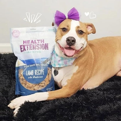 Health Extension Oven-Baked Dog Treats, 6oz (170g), Lamb & Blueberry Recipe – Gluten & Grain-Free, Superfood-Infused, Crunchy Biscuits for Puppy Training