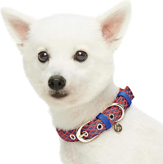 Blueberry Pet 2 Patterns Diamond Pattern Adjustable Neoprene Padded Dog Collar with Metal Buckle - True Red, Neck 13-16.5", for Medium Breed