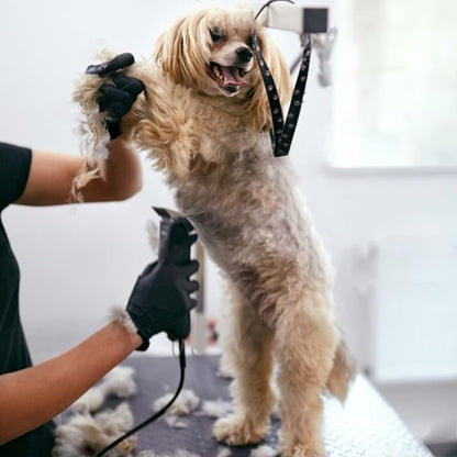 #40 Blades Dog Grooming Clipper Replacement Blades Compatible with Andis/Wahl/Oster Dog Clippers,Detachable Ceramic Blade & Stainless Steel Blade,Size #40 Cut Length 1/100"(0.25mm)