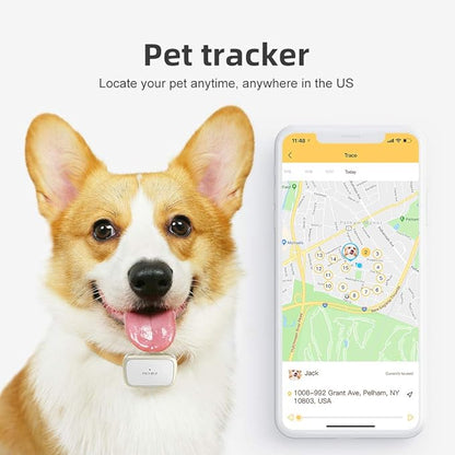 G1-US GPS Pet Tracker, 30 Days Ultra Long-Lasting Battery Lightweight Waterproof pet Finder (White) (White)