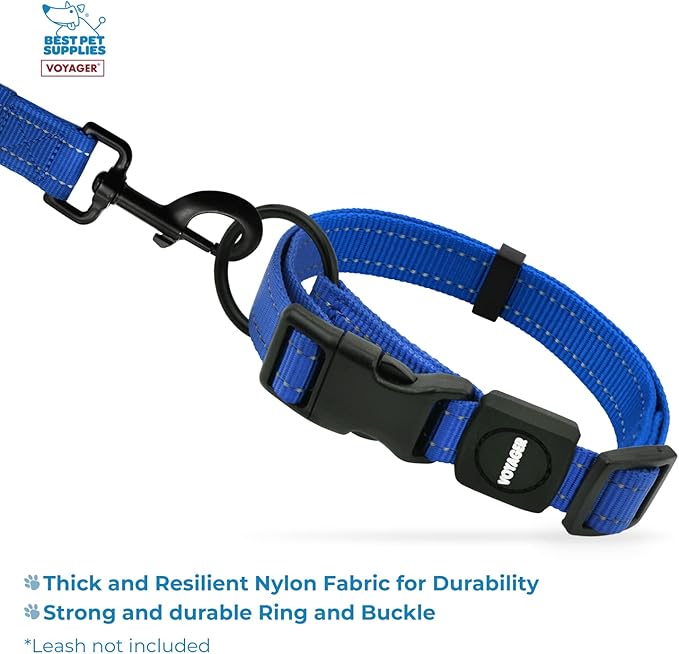 Best Pet Supplies Reflective Dog Collar with Adjustable Length, Heavy-Duty Buckle, and Strong Leash D-Ring, Training, Walking, Jogging Accessory for Small, Medium, and Large Breeds - Royal Blue, L
