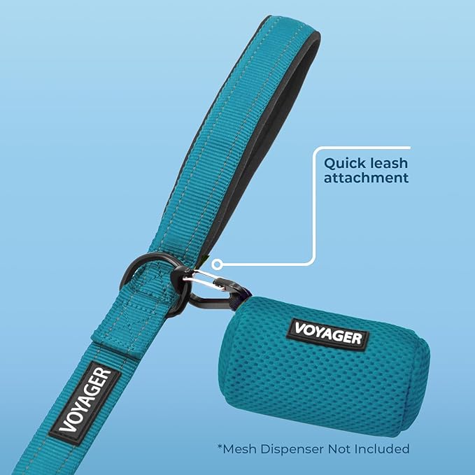 Voyager Reflective Dog Leash with Neoprene Handle, 6ft Long, Supports Small, Medium, and Large Breed Puppies, Cute and Heavy Duty for Walking, Running, and Training - Turquoise, L
