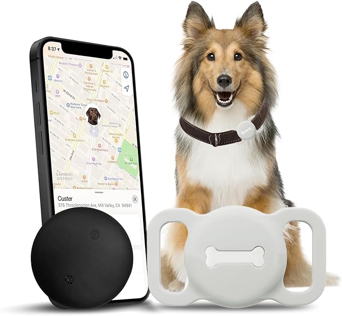 Pet Tracker for Cat, Smart Pet Location Tracker with Cat Collar Holder, Smart Item Finder, MFi Certificated Tracking Device, No Monthly Fee, Works with Find My (iOS Only) (WhiteV3, Small)