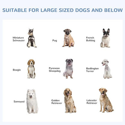 PawHut Large Dog Kennel Outside, Heavy Duty Dog Cage with Waterproof Cover, Outdoor Fence Dog Run with Galvanized Chain Link, Secure Lock, 9.8' x 9.8' x 7.7'