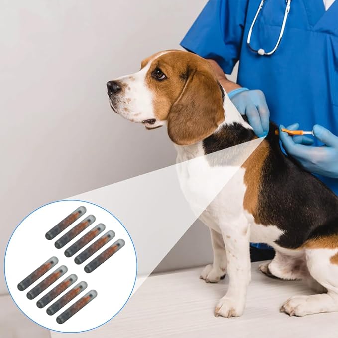 Mini 1.25mm Microchip for Dogs and Cats, Lightweight Label Glass Tube Chip Glass Tube Animal Tag Reader Pets Suppliers Shot Records for Pet Dog Cat Cow Pig Rabbit Fish Puppies 10 Pack