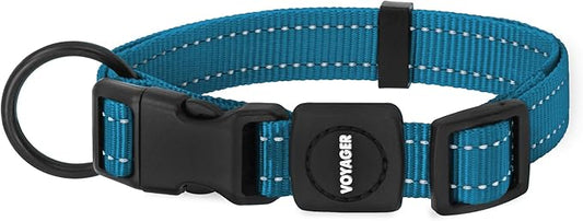 Best Pet Supplies Reflective Dog Collar with Adjustable Length, Heavy-Duty Buckle, and Strong Leash D-Ring, Training, Walking, Jogging Accessory for Small, Medium, and Large Breeds - Turquoise, M