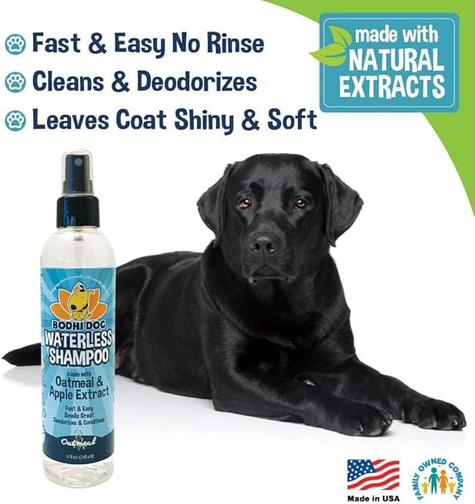 Bodhi Dog Hair Brush & Shampoo Bundle - Rubber Grooming Brush for Cats & Dogs - Gentle Scrubber for Long & Short Hair - Waterless Shampoo for Sensitive Skin & Bath Brush Set (Aqua)