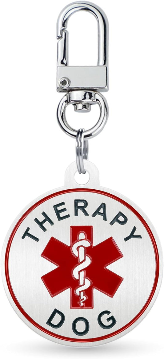 Service Dog ID Tag for Small & Large Dogs - Emotional Support ESA Medical Alert Collar Accessory - Durable Stainless Steel Service Animal Tag - Classic Therapy Dog Service Tag in Silver Large