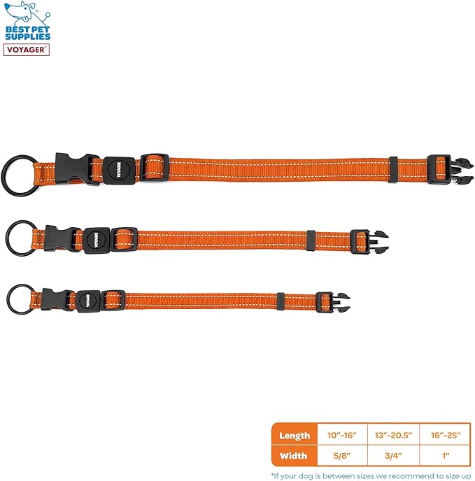 Best Pet Supplies Reflective Dog Collar with Adjustable Length, Heavy-Duty Buckle, and Strong Leash D-Ring, Training, Walking, Jogging Accessory for Small, Medium, and Large Breeds - Orange, M