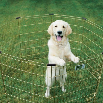 MidWest Homes for Pets Dog Exercise Pen & Playpen, 24" W x 30" W, No Door, Gold Zinc