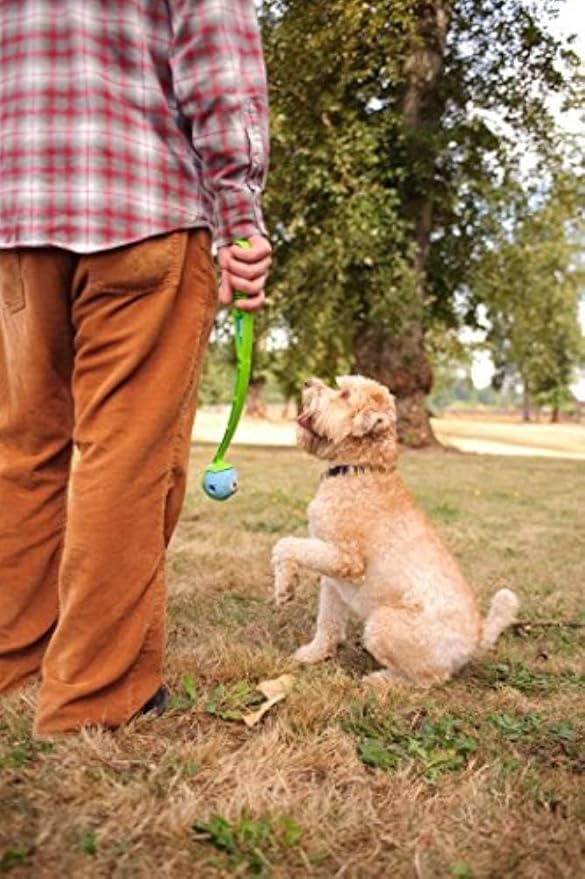 Chuckit! Fetch Medley Dog Ball Dog Toys, Small (2 Inch) Pack of 3, for Small Breeds