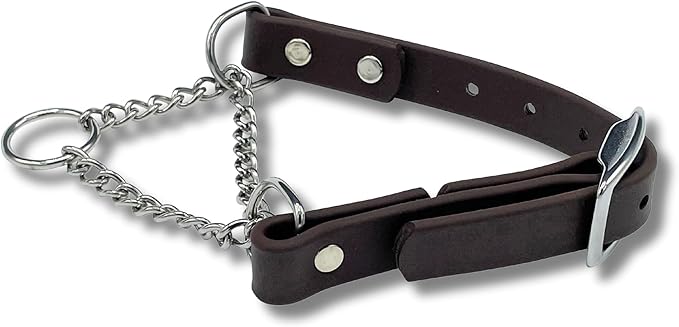 Martingale Collar for Dogs, Biothane, Stainless Steel Hardware, No Pull, Made in The USA, Professional Grade, Small, Brown