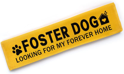 Yellow Foster Dog Looking for My Forever Home Dog Leash Sleeve, Funny Dog Tags Dog Leash Sleeve Wrap Alert Hanging ID Patch Tag, Pet Dog Birthday Service Dog Leash Gift for Dog Owners