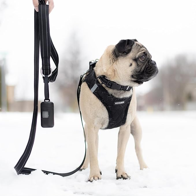 Voyager Reflective Dog Leash with Neoprene Handle, 5ft Long, Supports Small, Medium, and Large Breed Puppies, Cute and Heavy Duty for Walking, Running, and Training - Black (Leash), S