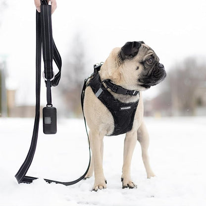 Voyager Reflective Dog Leash with Neoprene Handle, 5ft Long, Supports Small, Medium, and Large Breed Puppies, Cute and Heavy Duty for Walking, Running, and Training - Black (Leash), S