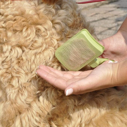 Coastal Pet Safari Dog Self-Cleaning Slicker Brush - Dog Deshedding Brush - Prevents Mats and Tangled Hair - For Dogs with Short or Long Hair - Medium - 4.25" x 4.06"