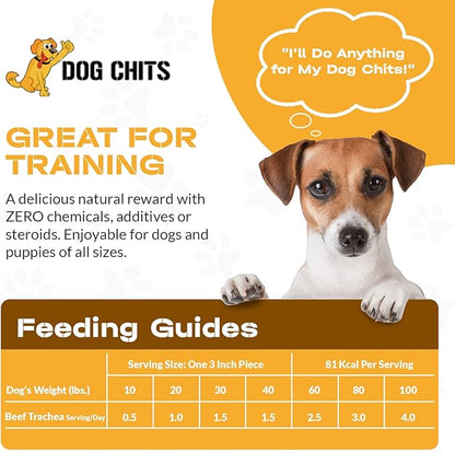 Beef Trachea for Dogs - Dog and Puppy Chews | Amazing for Joints | 12 in, 4 Pack | Made in USA | All-Natural Treats | Large and Small Dogs | Nothing Added | Lots of Natural Glucosamine