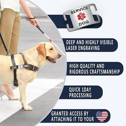 No Noise Stainless Steel K9 Service Dog Pet ID Jewelry Tags, Slide on Dog Collar or Harness Quickly and Securely – PVD Gold/Small