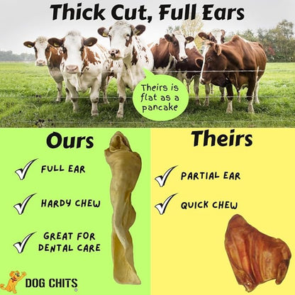 Dog Chits Cow Ears Dog and Puppy Treats - All Natural Grain and Chemical Free Training Chews - High Protein and Low Fat - Supports Dental Health - Made in The USA - 10 Count