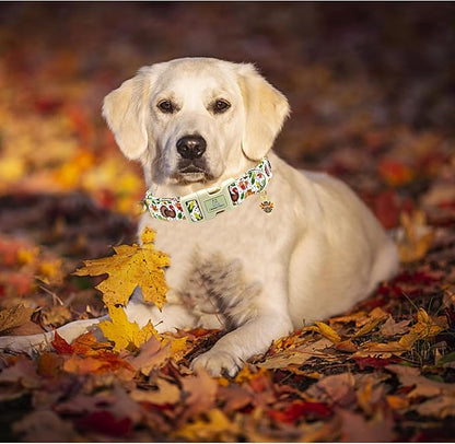 Lionheart glory Turkey Dog Collar, Thanksgining Day Dogs Collar Adjustable Soft Comfortable Collars for Large Dogs Girl or Boy Pet Gift Fall Cute Collar Quick Release Plastic Buckle