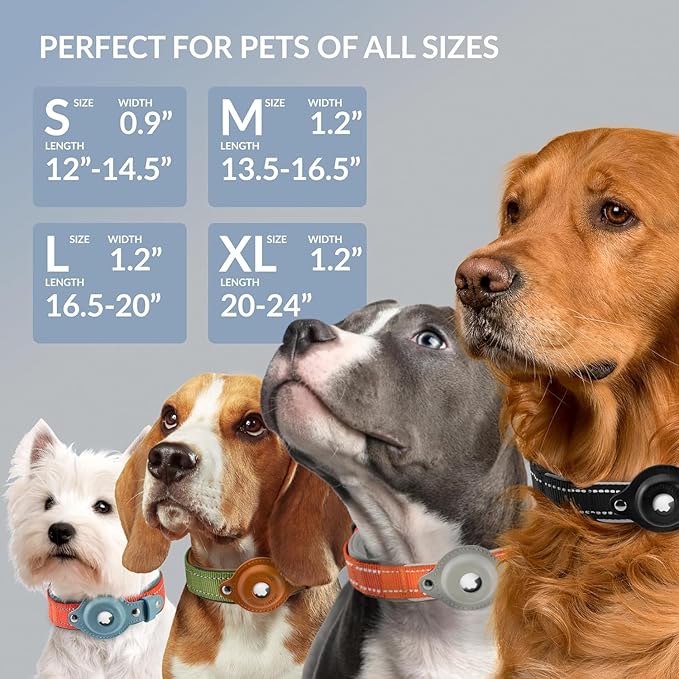 CollarDirect Airtag Dog Collar Reflective Nylon Neoprene Leather Holder for Apple Air Tag for Large, Medium, and Small Dogs (Black, M, 13.5-16.5 Inch)