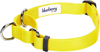 Blueberry Pet Essentials Martingale Safety Training Dog Collar, Blazing Yellow, Small, Heavy Duty Nylon Adjustable Collars for Dogs