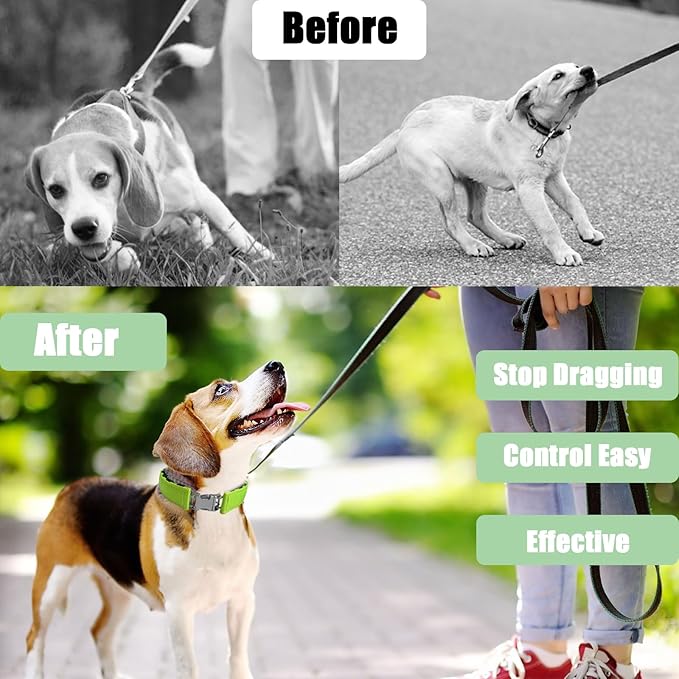 Prong Training Collar for Dogs, Adjustable Dog Pinch Collar with Quick Release Buckle, No Pull Collar for Small Medium Large Dogs, Extra Link and Caps (M/L(17-23" Neck, 3.2mm), Green)