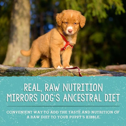 Stella & Chewy's Freeze Dried Raw Meal Mixers – Crafted for Puppies – Grain Free, Protein Rich Perfectly Puppy Beef & Salmon Recipe – 18 oz Bag