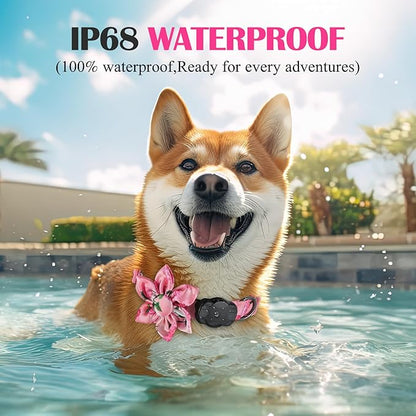 Airtag Dog Collar for Small Dogs, Rose-Pink Dog Collars Girl with AirTag Holder Waterproof Airtag Case, Including Flower Spring Dog Collar Bowtie, for All Female Dogs ﻿