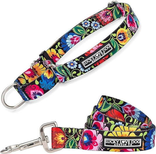 Lucky Love Dog Martingale Collar and Leash Set, Premium No Slip Collar and Leash Set, Floral Vivid Pattern Martingale Collar, Great for Whippets, Greyhounds, and More (Blackbird, Large - Combo)