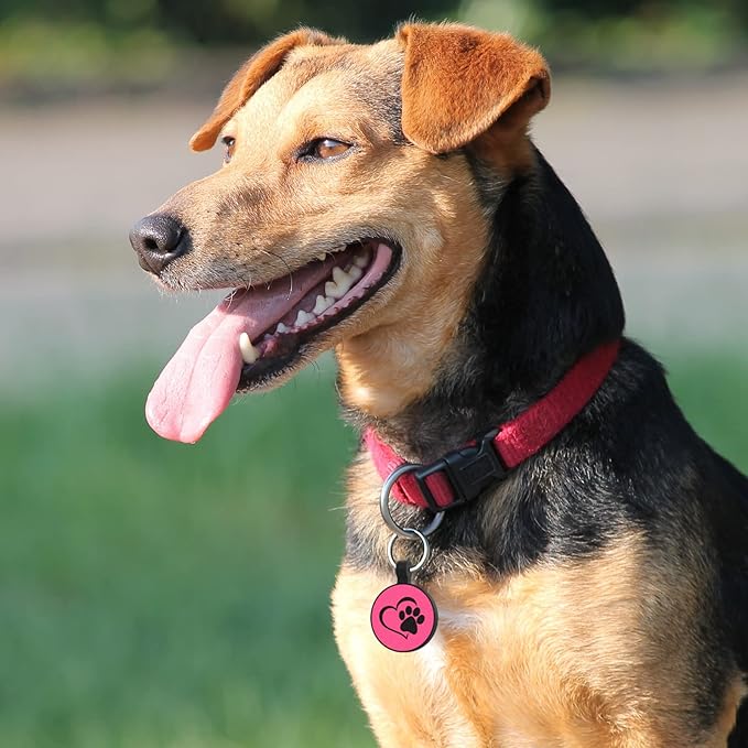 MYLUCKYTAG Silent Silicone QR Code Pet ID Tags Dog Tags - Pet Online Profile - Scan QR Receive Instant Pet Location Alert Email