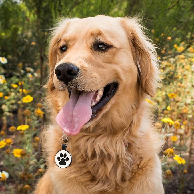 MYLUCKYTAG Silent Silicone QR Code Pet ID Tags Dog Tags - Pet Online Profile - Scan QR Receive Instant Pet Location Alert Email