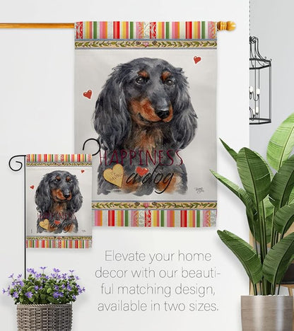 Breeze Decor Blue Long Hair Dachshund Happiness House Flag-Pack Dog Puppy Spoiled Paw Canine Fur Pet Nature Farm Animal Creature Vintage Applique Garden Yard Gift Double-Sided, Made in USA