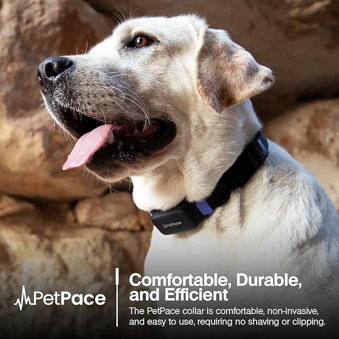 AI Health Monitor & GPS Tracker for Dogs | Track Heart Rate, Pain, Anxiety & Stress | Vet Backed, Near Real-Time Alerts & Monitoring | Subscription Required | PetPace Smart Collar 2.0 (Large)